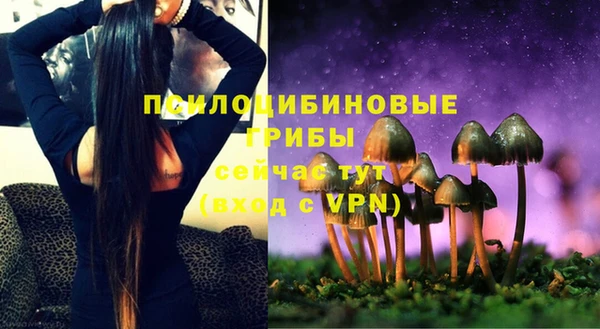прущие крисы Кукмор